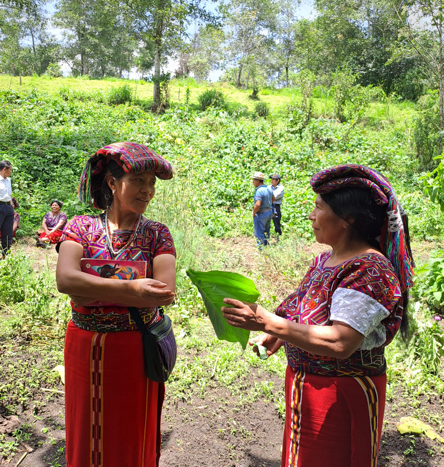 Zwei Ixil Frauen tauschen sich während eines Heilpflanzen-Workshops aus
